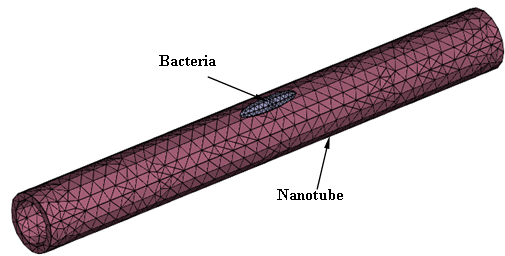 Nano-sensor
